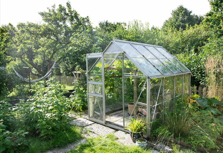 Gewächshaus-Verglasung: Glas oder Polycarbonat – Was eignet sich besser?