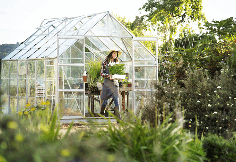 SUNLITE® Doppelstegplatte 4mm, klar für Gewächshaus