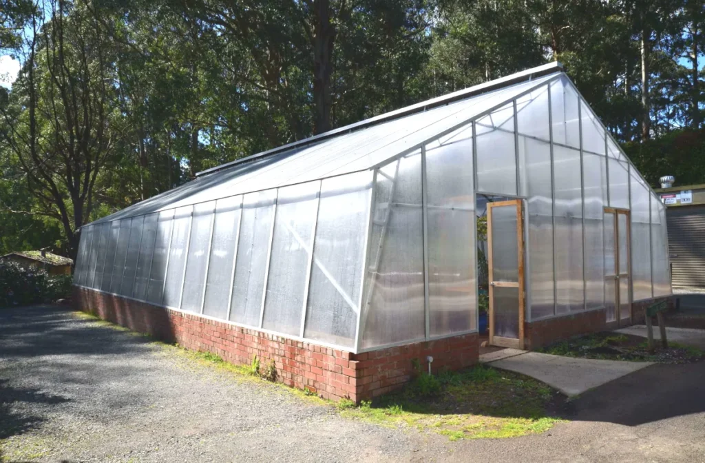 Großes Gewächshaus mit klaren Polycarbonat-Doppelstegplatten 8 mm – stabile Verglasung mit guter Wärmedämmung und UV-Schutz