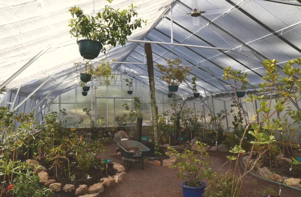 Innenansicht eines Gewächshauses mit klaren 8 mm Doppelstegplatten aus Polycarbonat – hohe Lichtdurchlässigkeit und gleichmäßige Ausleuchtung für gesundes Pflanzenwachstum